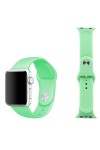 Apple Watch Serisi 42/44mm Silikon Kordon Kayış