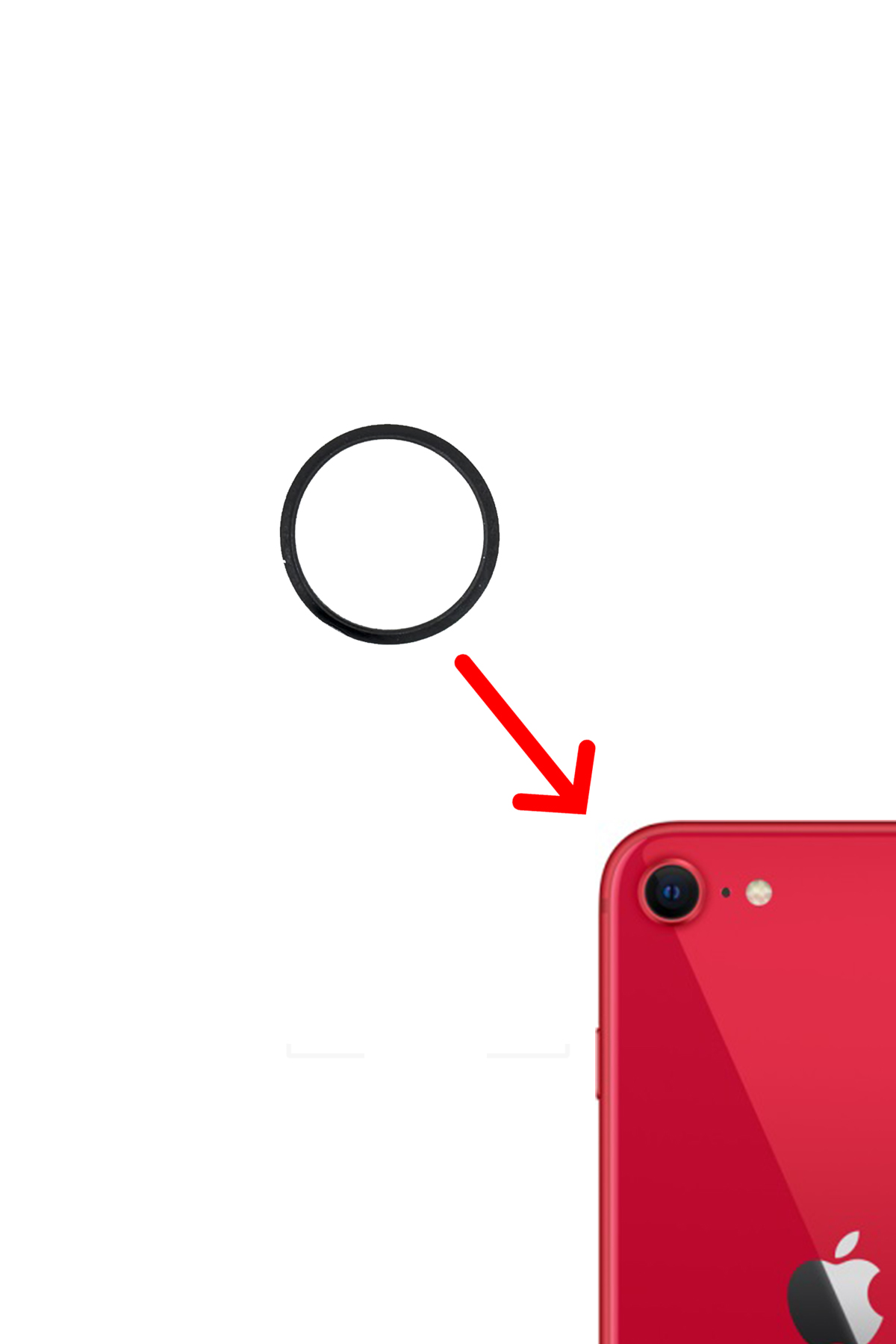 Iphone SE 2020 Sıvı ve Toza Dayanıklı Arka Kamera Halkası